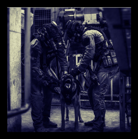 Why Professional K-9s Need More Than Kibble