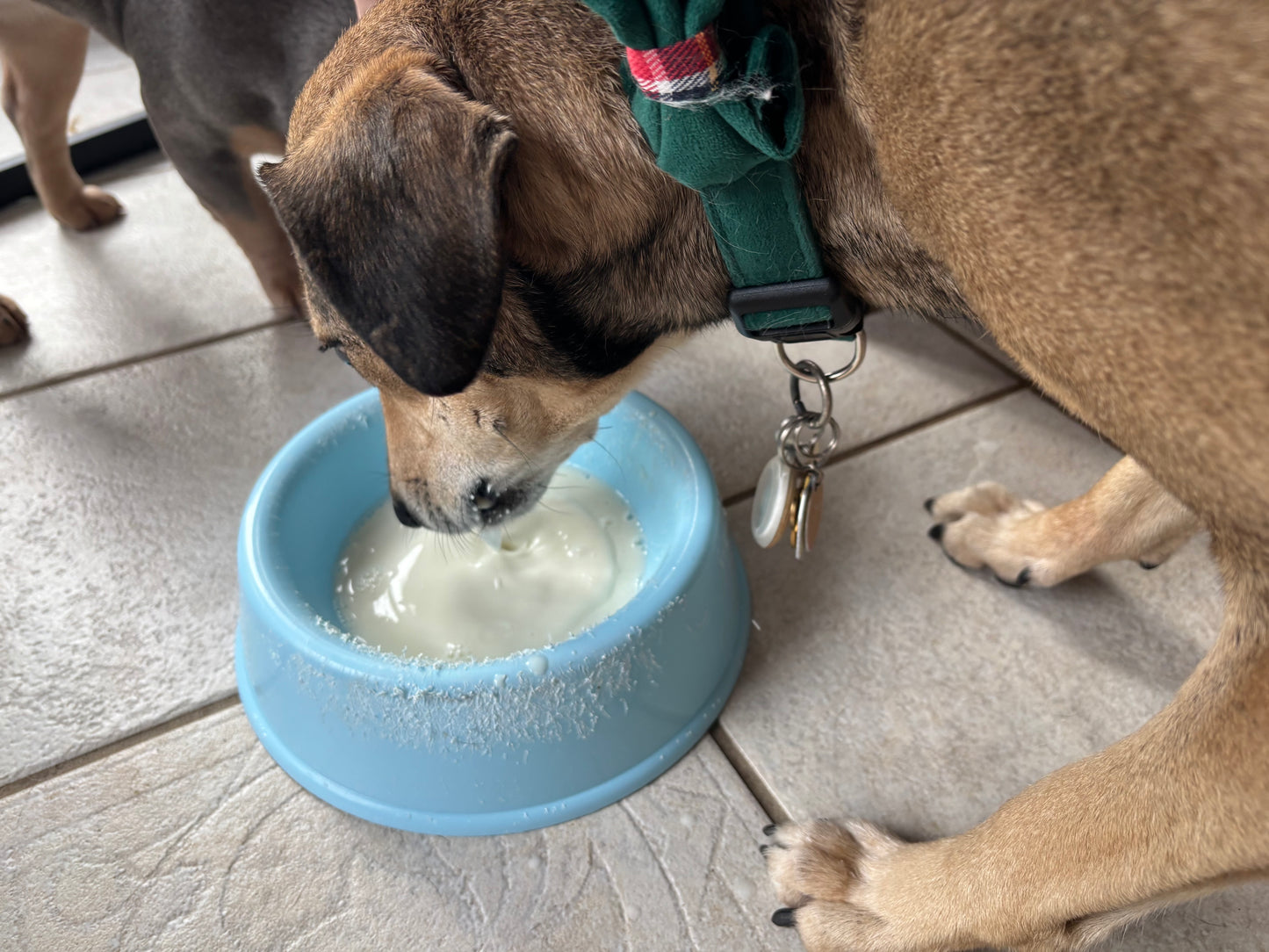 hīˈdrāSH(ə)n Raw Goat Milk