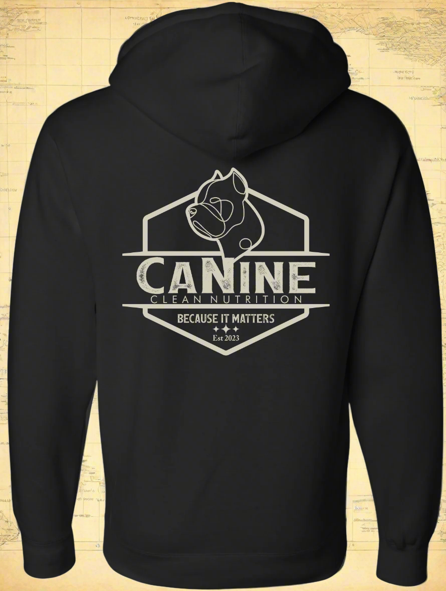 The Foundation Pullover Hoodie