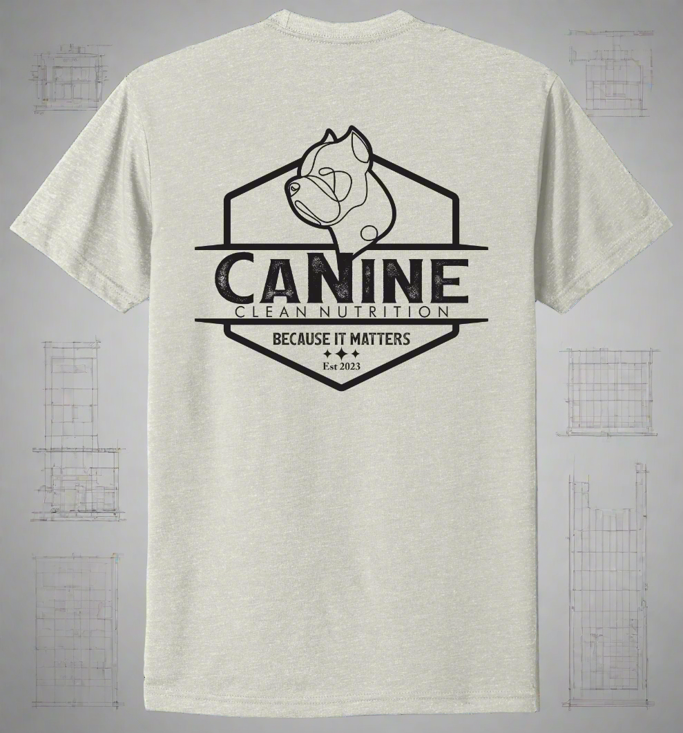 The Foundation Shirt “NOVA”