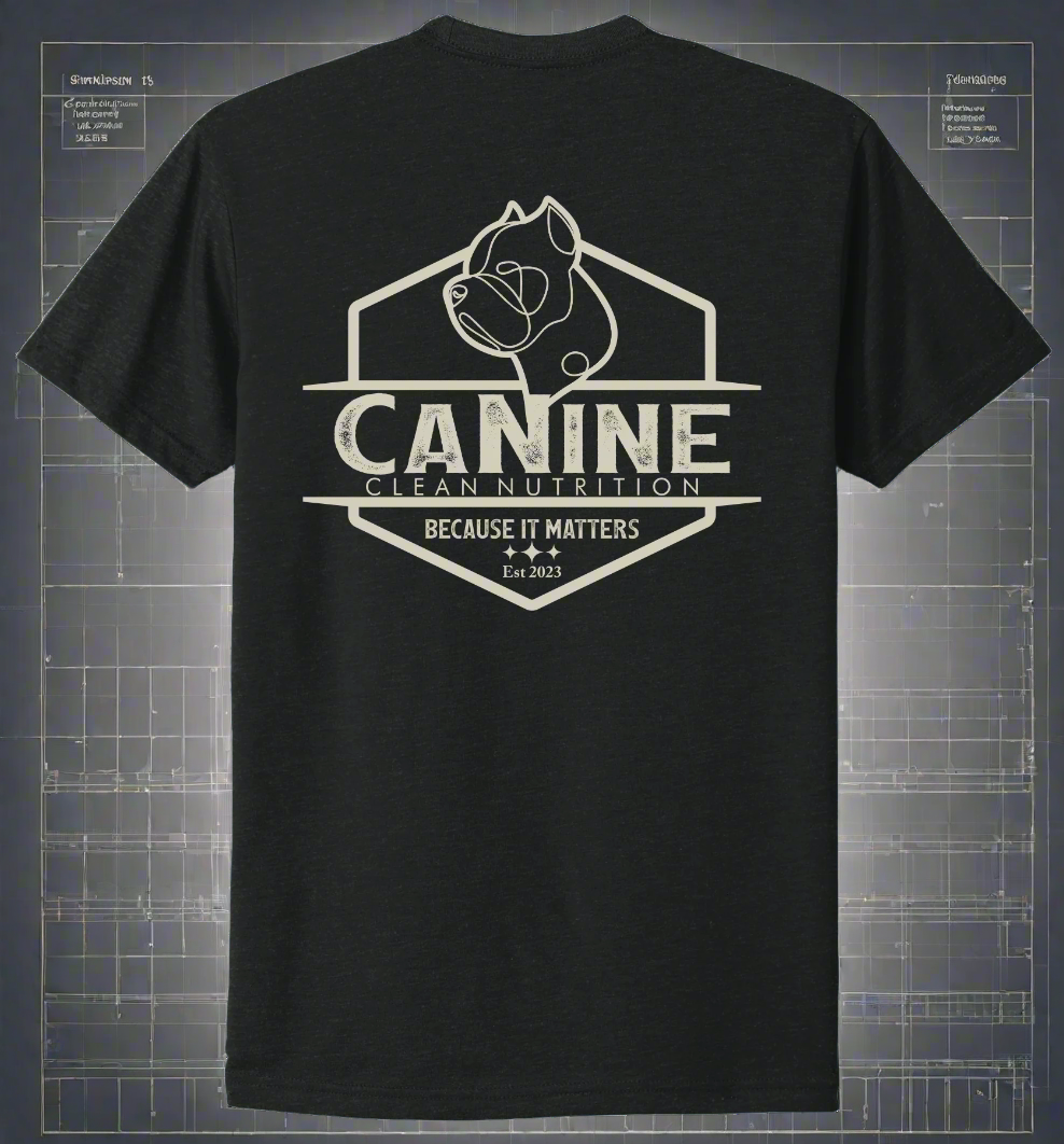 The Foundation Shirt: “ARES”