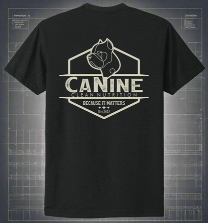 The Foundation Shirt: “ARES”