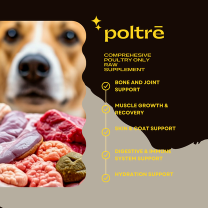 Pöltrē:     Chicken only Raw Nutritional Supplement